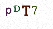 Visual Confirmation Security Code