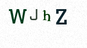 Visual Confirmation Security Code