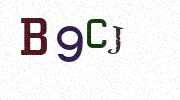 Visual Confirmation Security Code