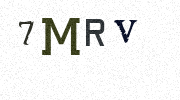Visual Confirmation Security Code
