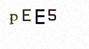 Visual Confirmation Security Code