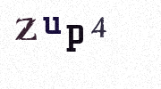 Visual Confirmation Security Code