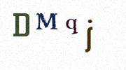 Visual Confirmation Security Code