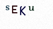 Visual Confirmation Security Code