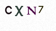Visual Confirmation Security Code