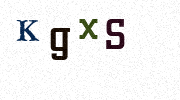 Visual Confirmation Security Code