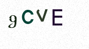 Visual Confirmation Security Code