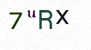 Visual Confirmation Security Code