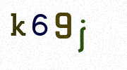 Visual Confirmation Security Code