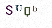 Visual Confirmation Security Code