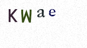 Visual Confirmation Security Code