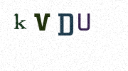 Visual Confirmation Security Code