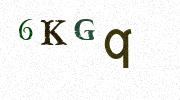 Visual Confirmation Security Code