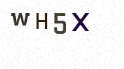 Visual Confirmation Security Code