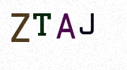 Visual Confirmation Security Code