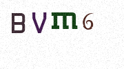 Visual Confirmation Security Code