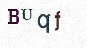 Visual Confirmation Security Code