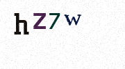 Visual Confirmation Security Code