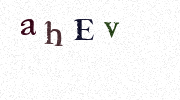 Visual Confirmation Security Code