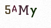 Visual Confirmation Security Code