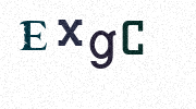Visual Confirmation Security Code