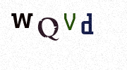 Visual Confirmation Security Code