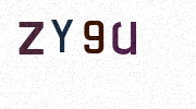 Visual Confirmation Security Code