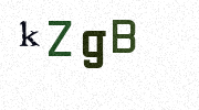 Visual Confirmation Security Code
