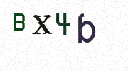Visual Confirmation Security Code
