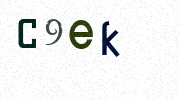 Visual Confirmation Security Code