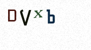 Visual Confirmation Security Code