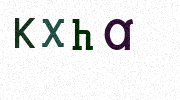 Visual Confirmation Security Code