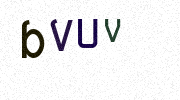 Visual Confirmation Security Code