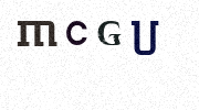 Visual Confirmation Security Code