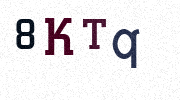 Visual Confirmation Security Code