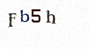 Visual Confirmation Security Code