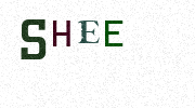 Visual Confirmation Security Code