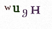 Visual Confirmation Security Code