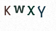 Visual Confirmation Security Code