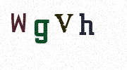 Visual Confirmation Security Code