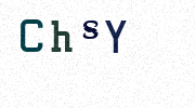 Visual Confirmation Security Code
