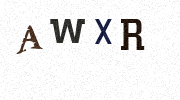 Visual Confirmation Security Code