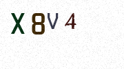 Visual Confirmation Security Code