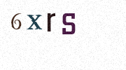Visual Confirmation Security Code