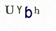 Visual Confirmation Security Code
