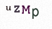 Visual Confirmation Security Code