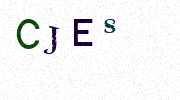 Visual Confirmation Security Code