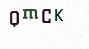 Visual Confirmation Security Code