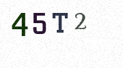 Visual Confirmation Security Code
