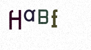 Visual Confirmation Security Code
